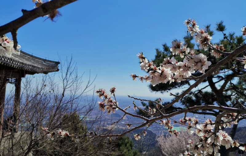 “志凌云巅,梦在脚下” 易联达2019春季踏青 “志凌云巅,梦在脚下” 易联达2019春季踏青